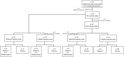 Humoral and cellular immune responses to Pfizer-BioNTech BNT162b2 SARS-CoV-2 vaccine in adolescents with liver transplantation: Single center experience